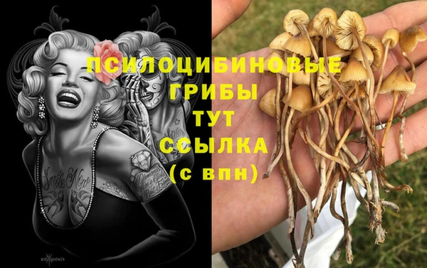 кокаин премиум Лагань