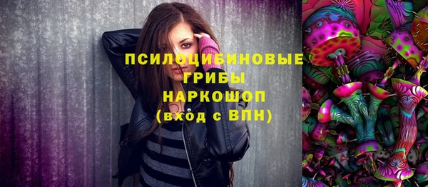 не бодяженный Ладушкин