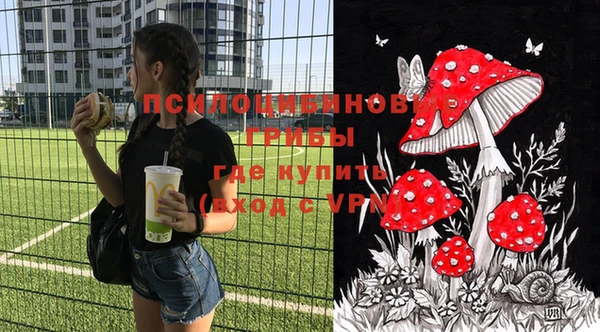 не бодяженный Ладушкин