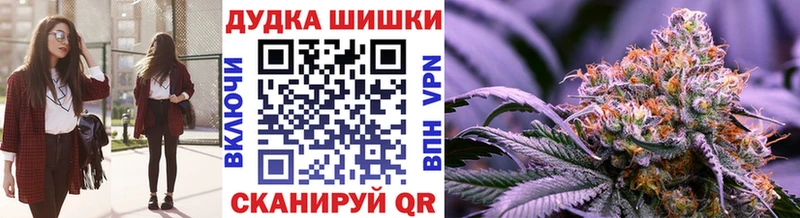 Конопля OG Kush  Купить закладки  Судогда 